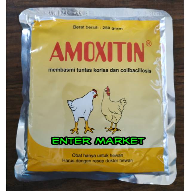 Jual Obat Coryza Ayam Amoxitin Gr Medion Shopee Indonesia