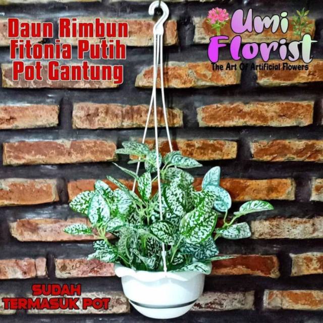 Jual Daun rimbun artificial plus pot gantung | Shopee Indonesia