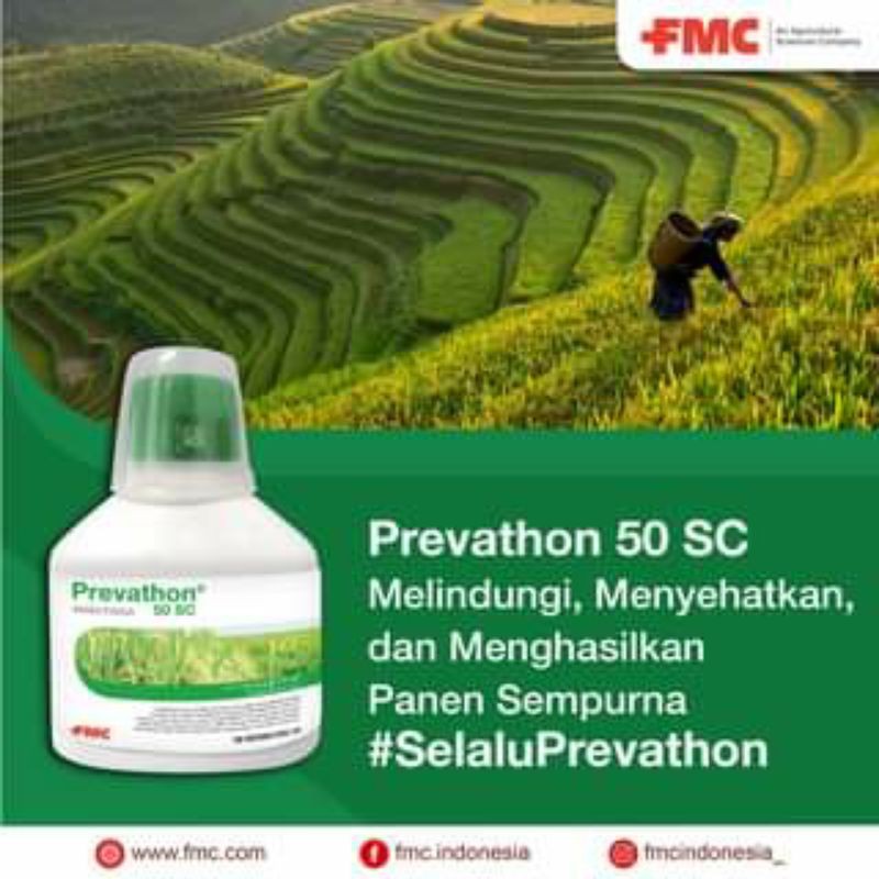 Jual PREVATHON 50SC 250ml INSEKTISIDA FMC | Shopee Indonesia