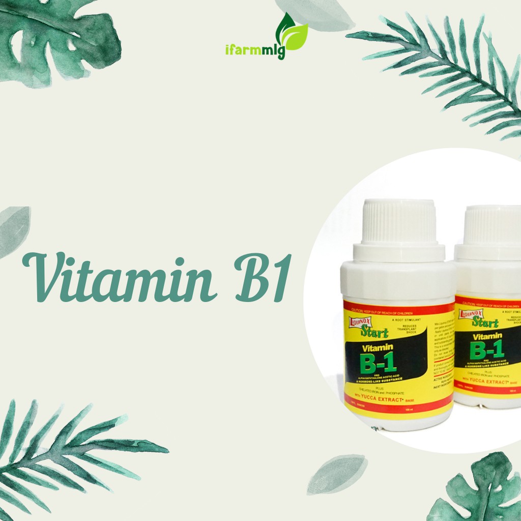 Jual Liquinox Vitamin B1 Start 100 Ml Hormon Tanaman Anti Stress ...