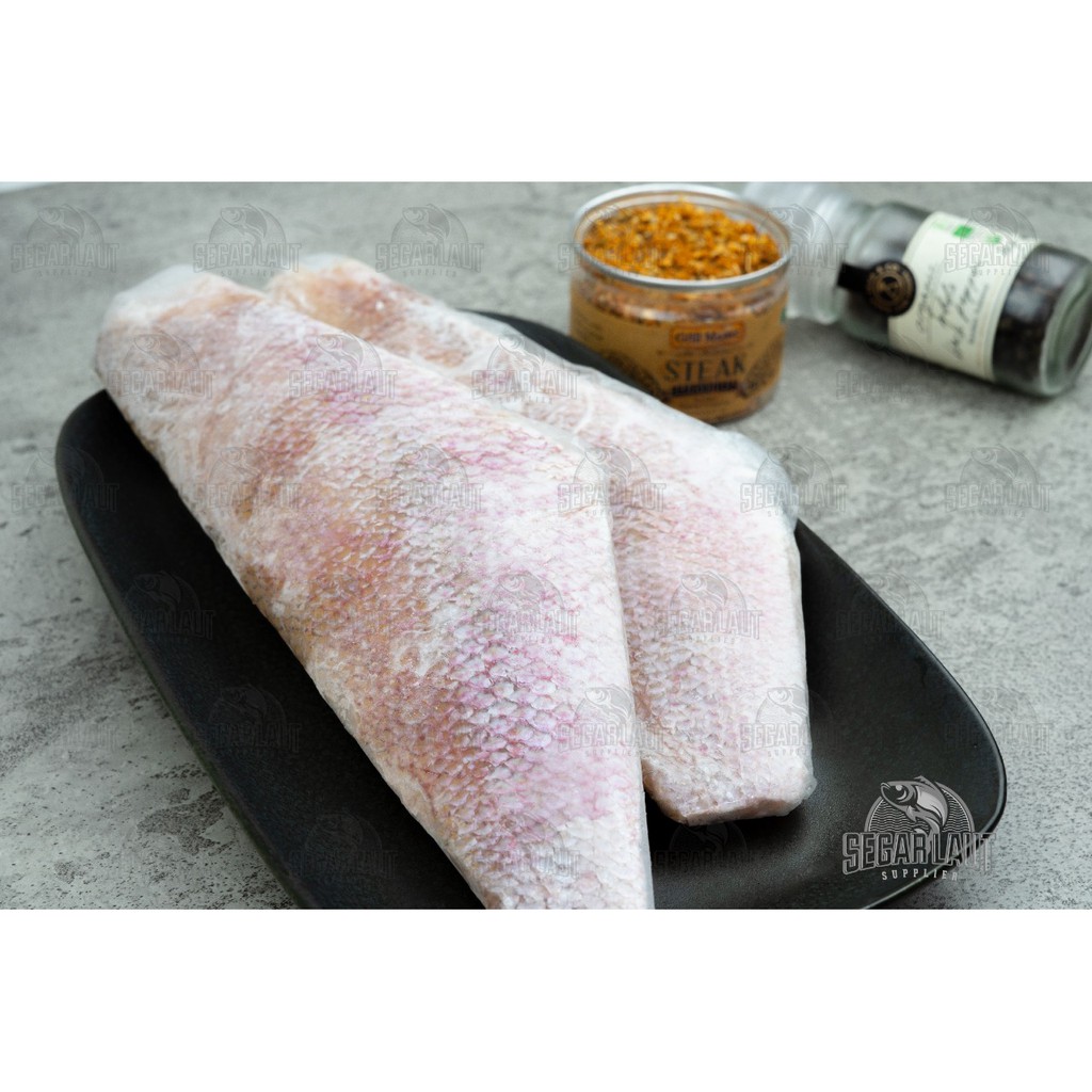 Jual IKAN KAKAP MERAH FILLET | RED SNAPPER FILLET | PREMIUM | FRESH ...