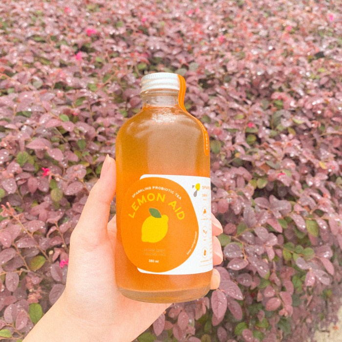 Jual lemon aid - lemon mint + black tea Seven Kombucha 250ml - grab ...