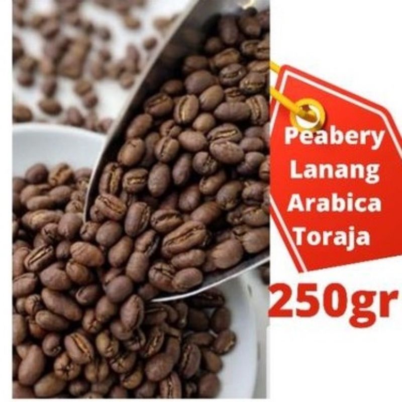 Jual Toraja Koffie Kopi Arabica Toraja Peabery Kopi Toraja Pulu Pulu