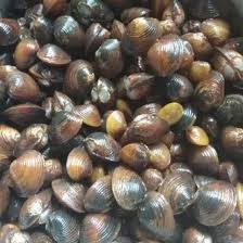 Jual REMIS LAYA /HAREMIS | Shopee Indonesia