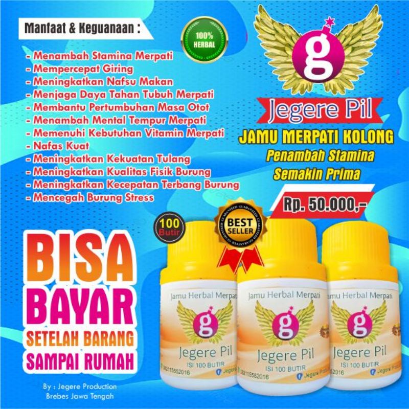 Jual Jegere Pil Isi Butir Jamu Merpati Kualitas Berani Di Adu