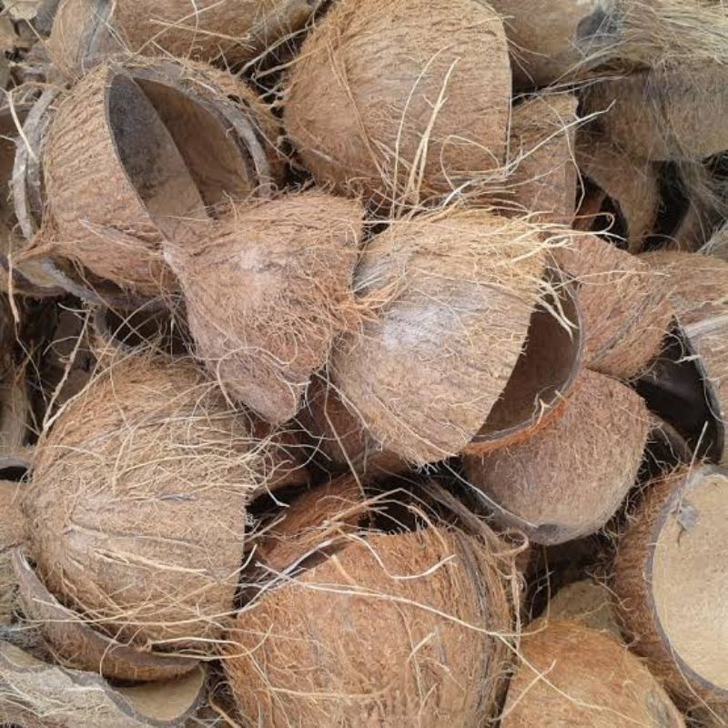 Jual BATOK KELAPA ( BAHAN KERAJINAN ) | Shopee Indonesia