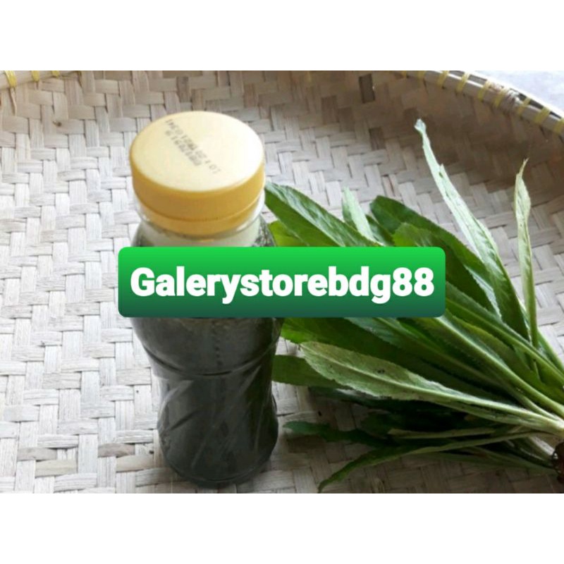 Jual Esen walang sangit asli original kemasan botol 200 ml | Shopee ...
