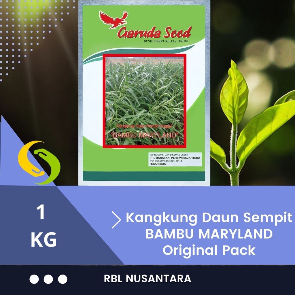 Jual Original Pack Bibit Kangkung Serimpi Daun Sempit Bambu 1kg Benih