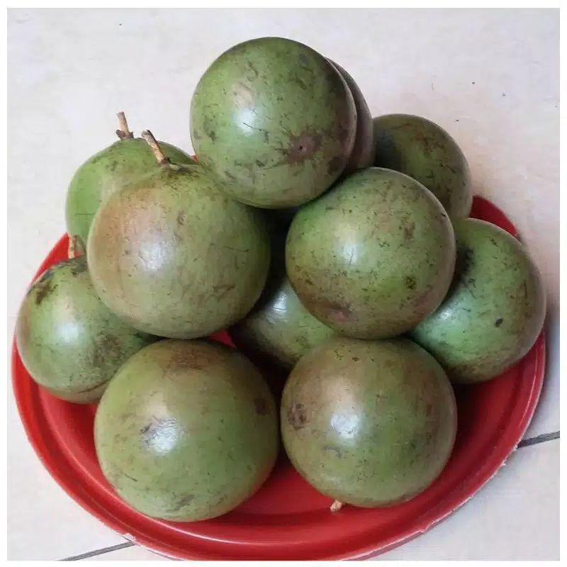 Jual Buah Kenitu Terlengkap & Harga Terbaru Juli 2026 | Shopee Indonesia