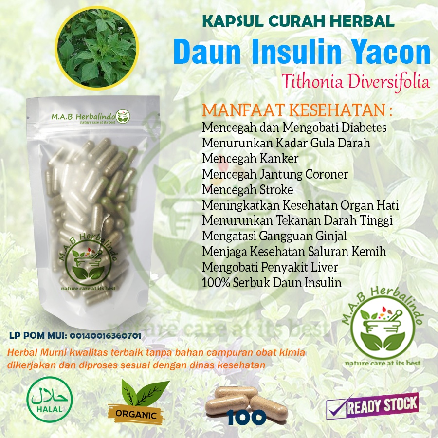 Jual Daun Insulin Yacon 100 Kapsul Curah Herbal Stroke Diabetes Liver