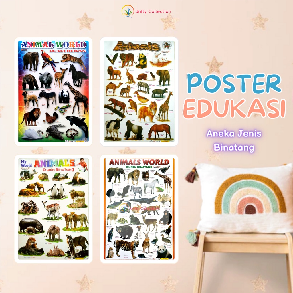 Jual Poster Edukasi Anak Belajar Aneka Jenis Animal Binatang Hewan ...