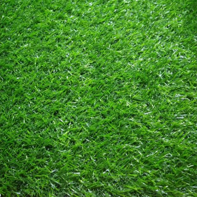 Jual RUMPUT SINTETIS /KARPET RUMPUT/UNTUK DEKORASI | Shopee Indonesia