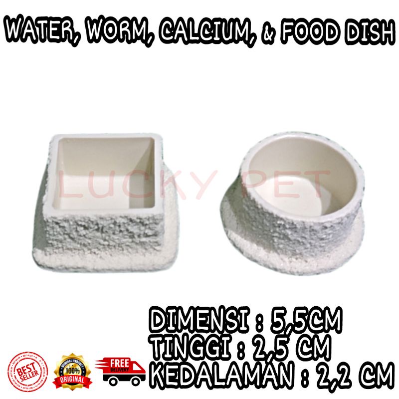 Jual water dish gecko tempat minum reptil kotak bulat kecil | Shopee ...