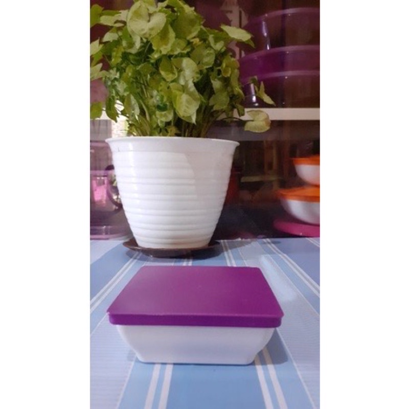 Jual Small Ichigo (1pcs) Tupperware | Shopee Indonesia