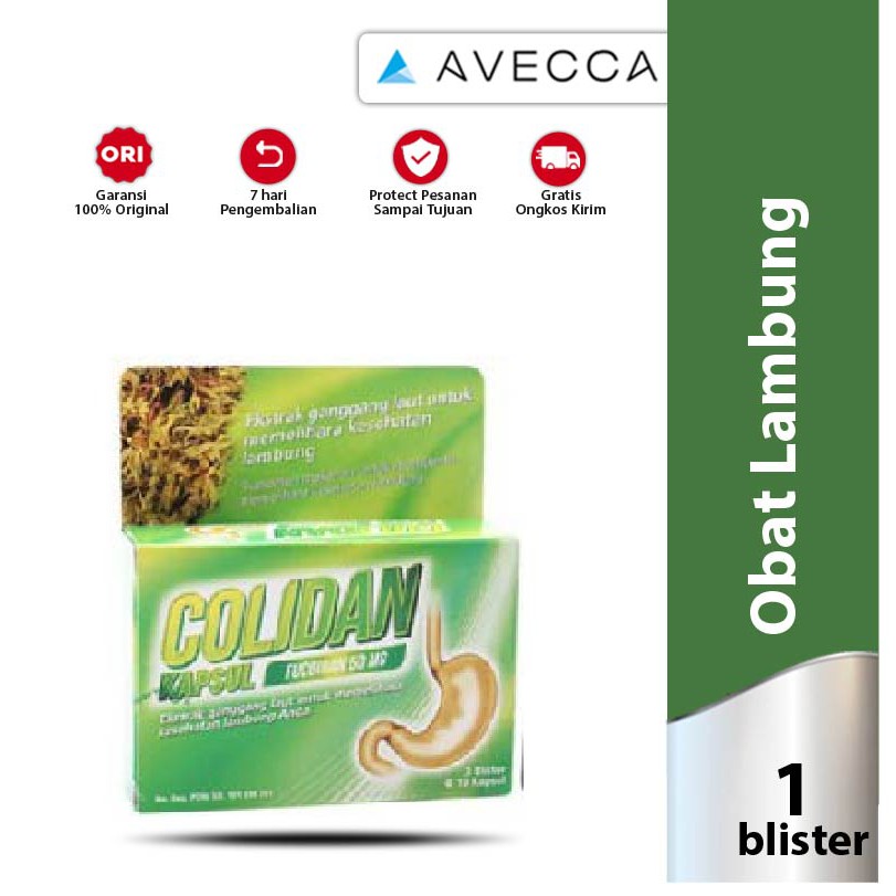 Jual Colidan Fucoidan 50 Mg 1 Blister 10 Kapsul (Kesehatan Lambung ...