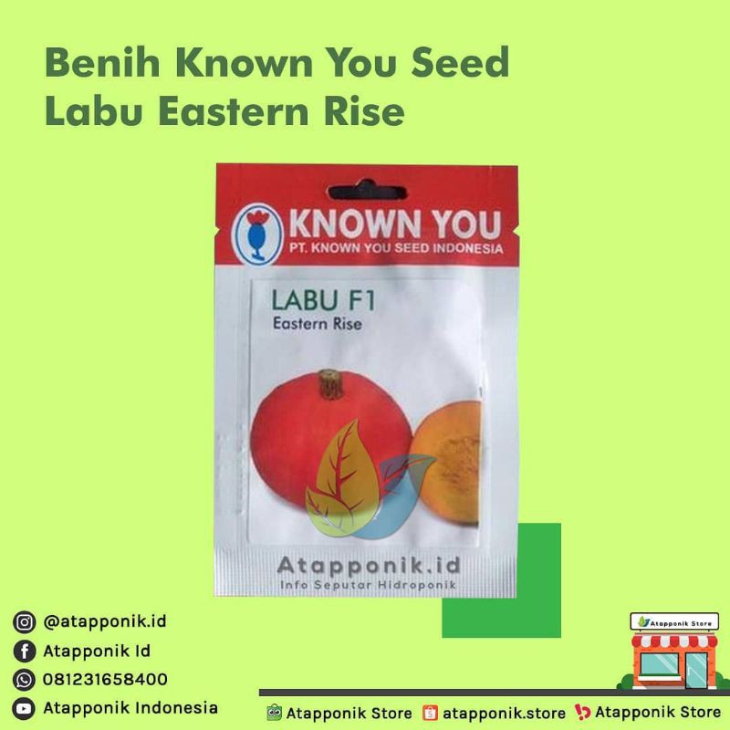 Jual benih bibit labu eastern rise f1 | Shopee Indonesia