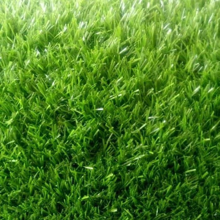 Jual jual Rumput Sintetis Swiss Tebal 2cm 50x50cm - bibit tanaman ...