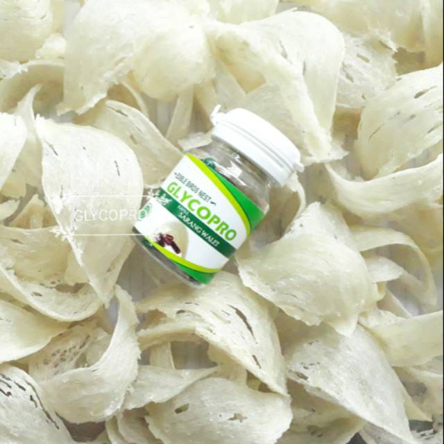 Jual Obat Corona Covid-19 - Kapsul Herbal Sarang Burung Walet GLYCOPRO ...