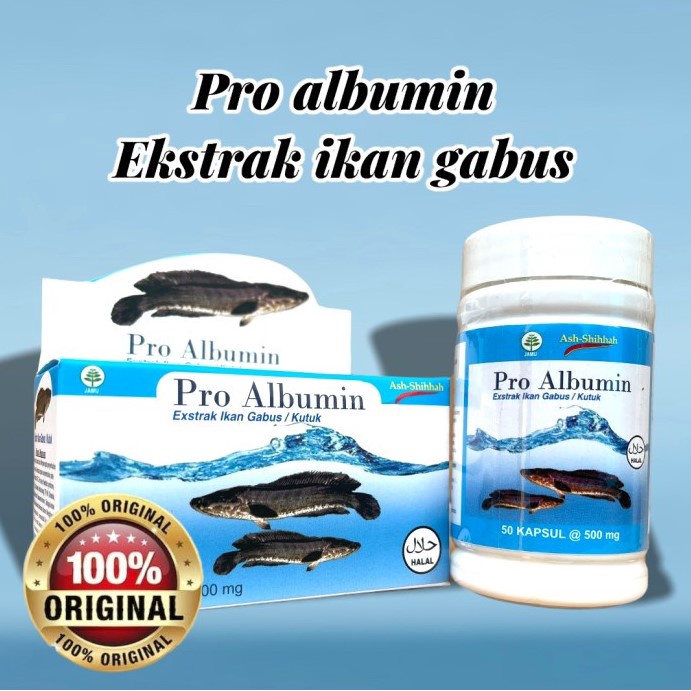 Jual Pro Albumin Proalbumin Kapsul Ekstrak Ikan Gabus Ikan Kutuk Ash