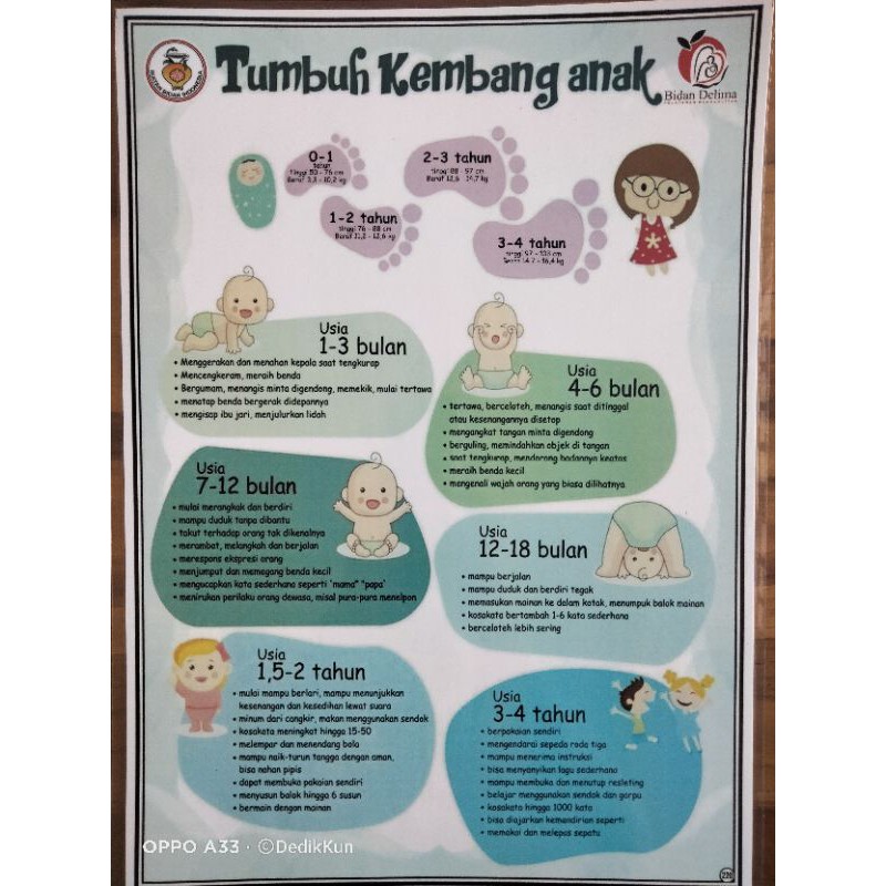 Jual (220) POSTER TUMBUH KEMBANG ANAK | Shopee Indonesia