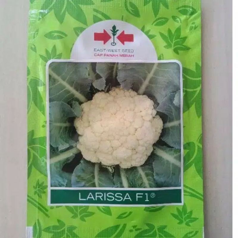 Jual Benih Bunga Kol Larissa F1 10 Gram Biji Kembang Kol Putih Hibrida