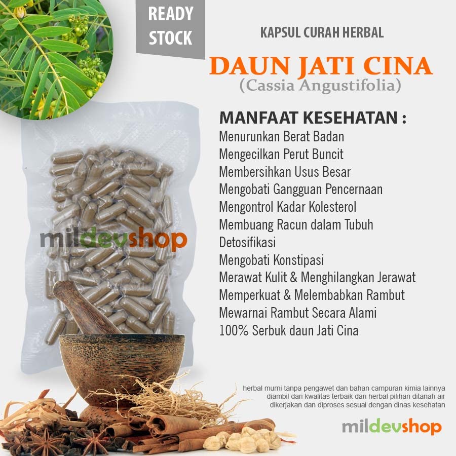 Kapsul Curah Herbal JATI CINA Pelangsing Metabolisme 100 capsul