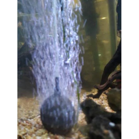 Jual Barang Pilihan Aquascape Aquarium Batu Airasi Aerator Boyu