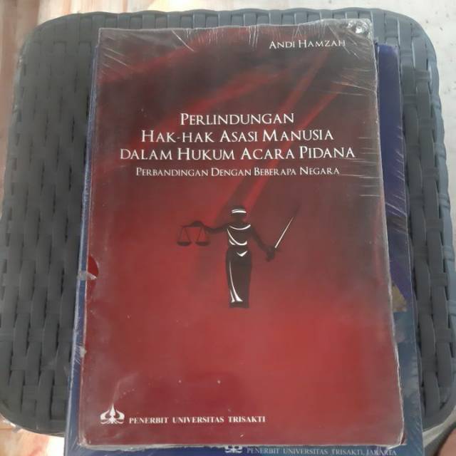 Jual Perlindungan Hak-Hak Asasi Manusia Dalam Hukum Acara Pidana ...