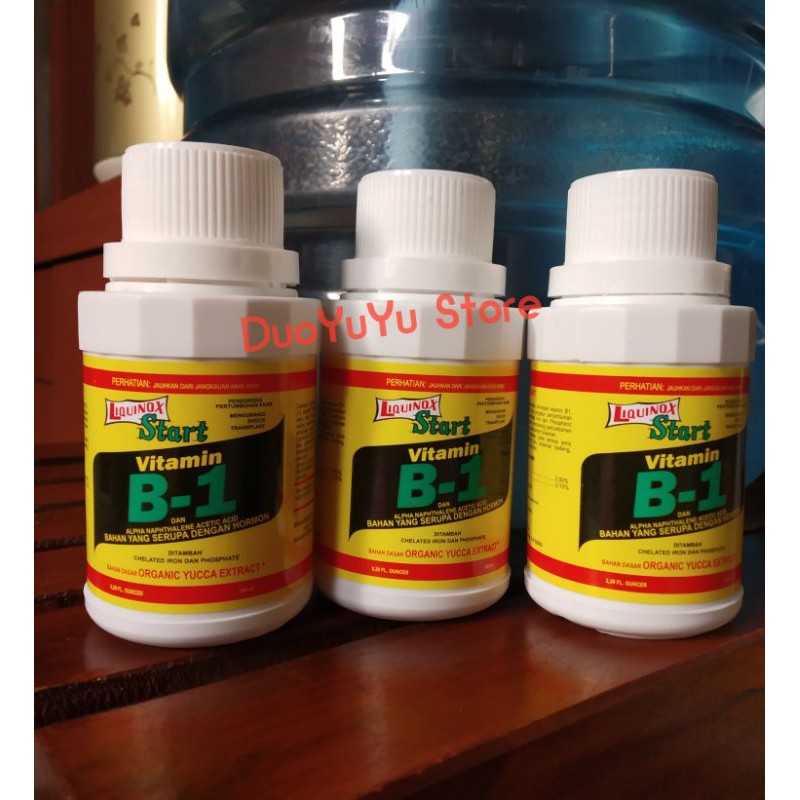 Jual Liquinox Start Vitamin B1 100 Ml | Shopee Indonesia