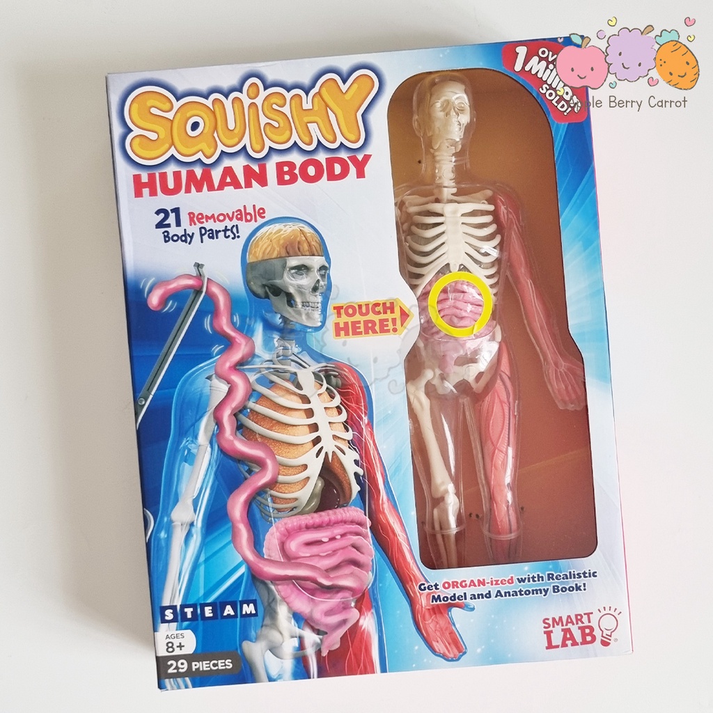 Jual Smart Lab Toys Squishy Human Body with Anatomy Book Shopee Indonesia