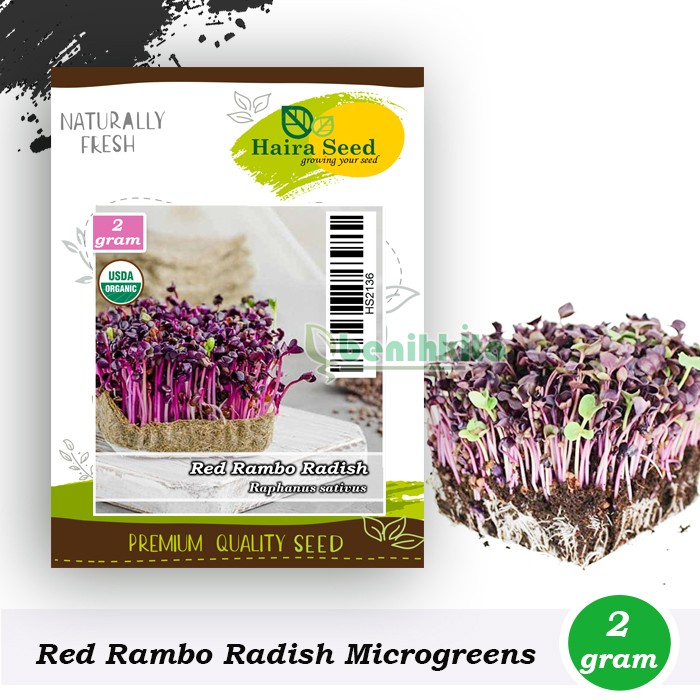 Jual Benih-Bibit Microgreen Red Rambo Radish Organik (Haira Seed ...