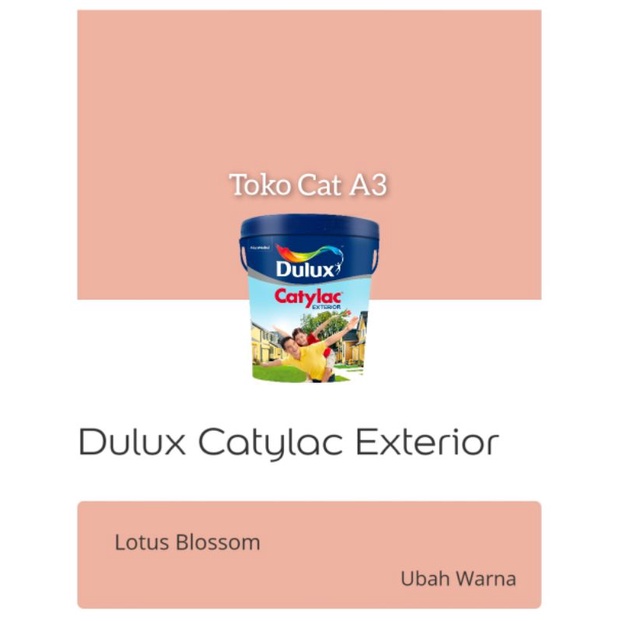 Jual Dulux Catylac Exterior Lotus Blossom 5kg Shopee Indonesia 6326