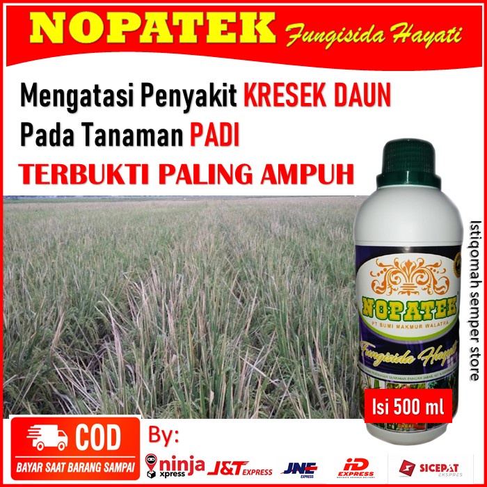 Jual Pupuk Terbaik Nopatek Obat Atasi Kresek Daun Padi Obat Kresek