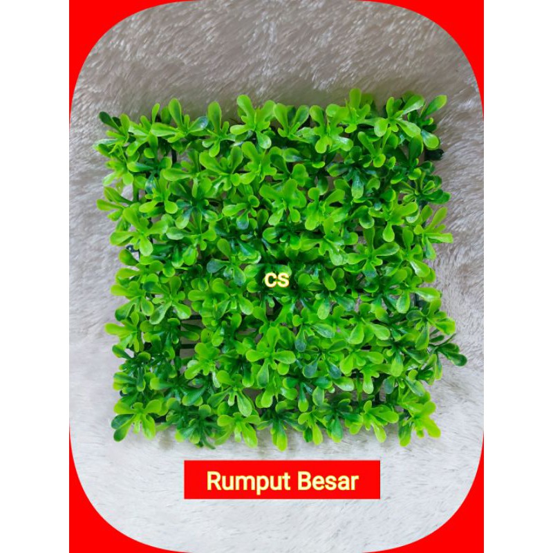 Jual RUMPUT HIAS RUMPUT POT BUNGA | Shopee Indonesia