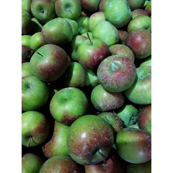 Jual apel khas malang rome beauty 1kg 7-9buah | Shopee Indonesia