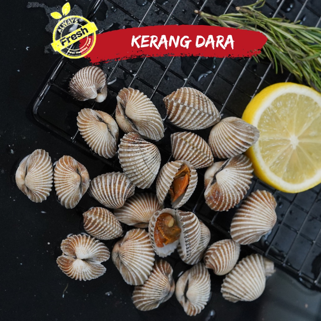 Jual Kerang Dara Fresh frozen 1kg termurah Shopee Indonesia