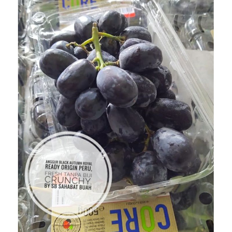 Jual BUAH ANGGUR HITAM AUTUMN MANIS TANPA BIJI 500GR | Shopee Indonesia