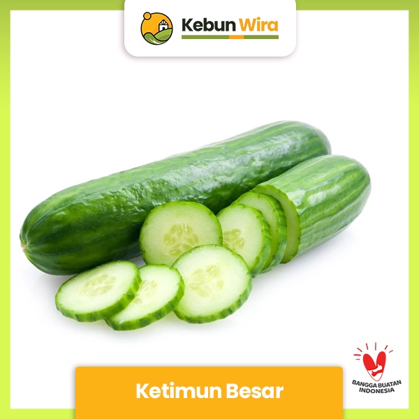 Jual Ketimun Besar | Cucumber | Shopee Indonesia