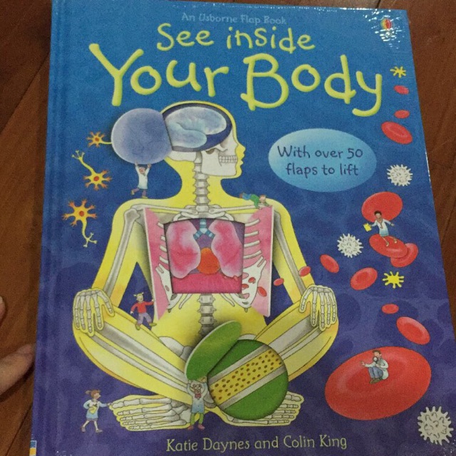 Jual See inside your body usborne | Shopee Indonesia