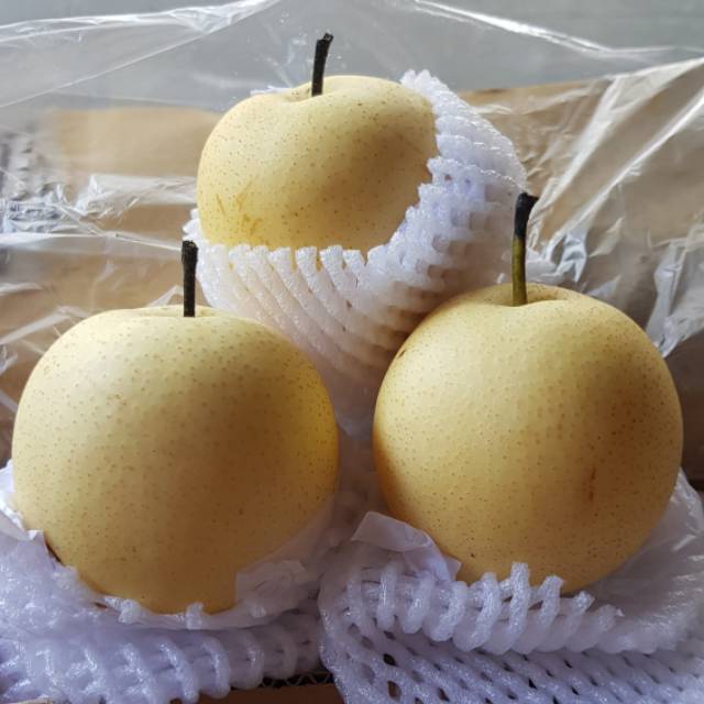 Jual Pear Century RRC Per 1 KG. Pir Senturi | Shopee Indonesia