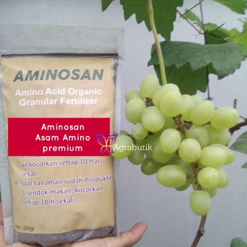 Jual AMINOSAN PUPUK HAYATI ASAM AMINO ORGANIK TANAMAN ANGGUR DAN BUAH