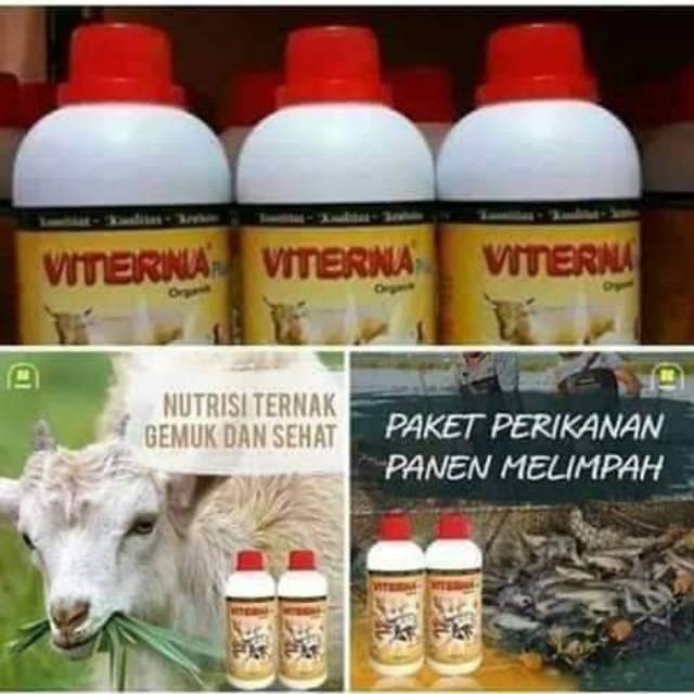 Jual Viterna Vitamin Ternak Dan Ikan Shopee Indonesia