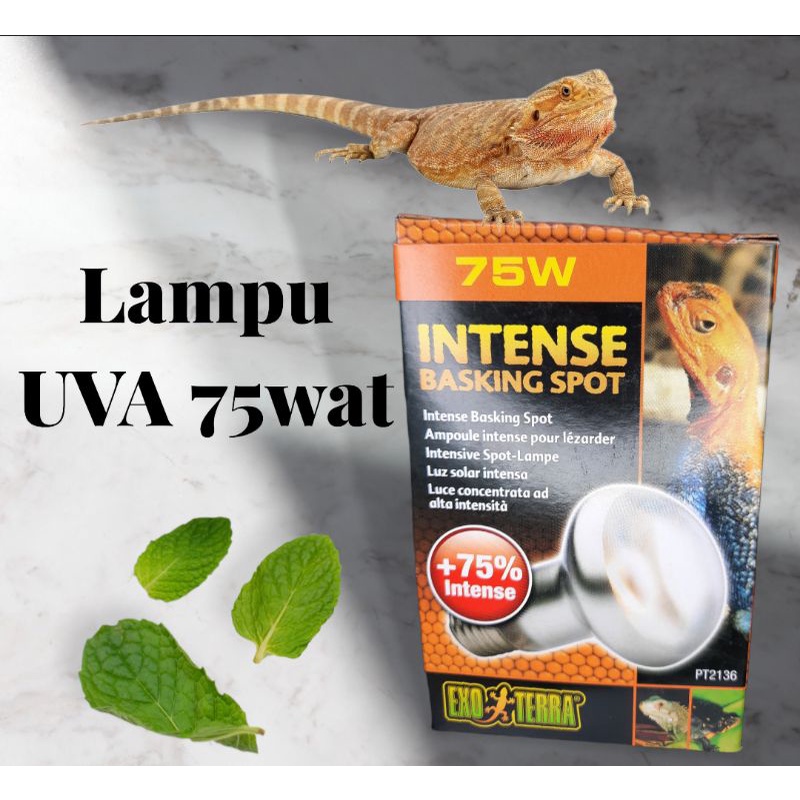 Jual Lampu Uva W Untuk Menghangatkan Reptile Kesayangan Kalian Agar Tidak Terkena Mbd Metalic