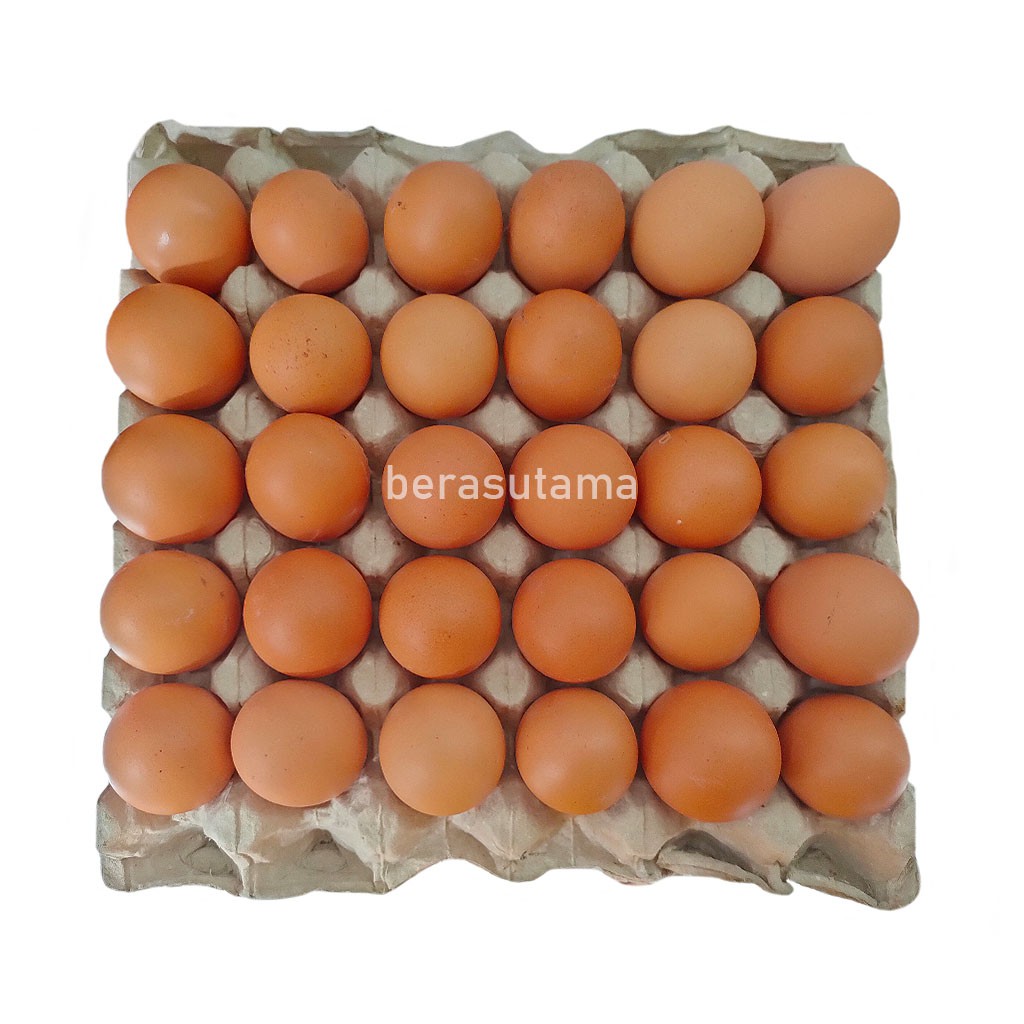Jual Telur Ayam Negeri Sedang Besar Per Rak | Shopee Indonesia