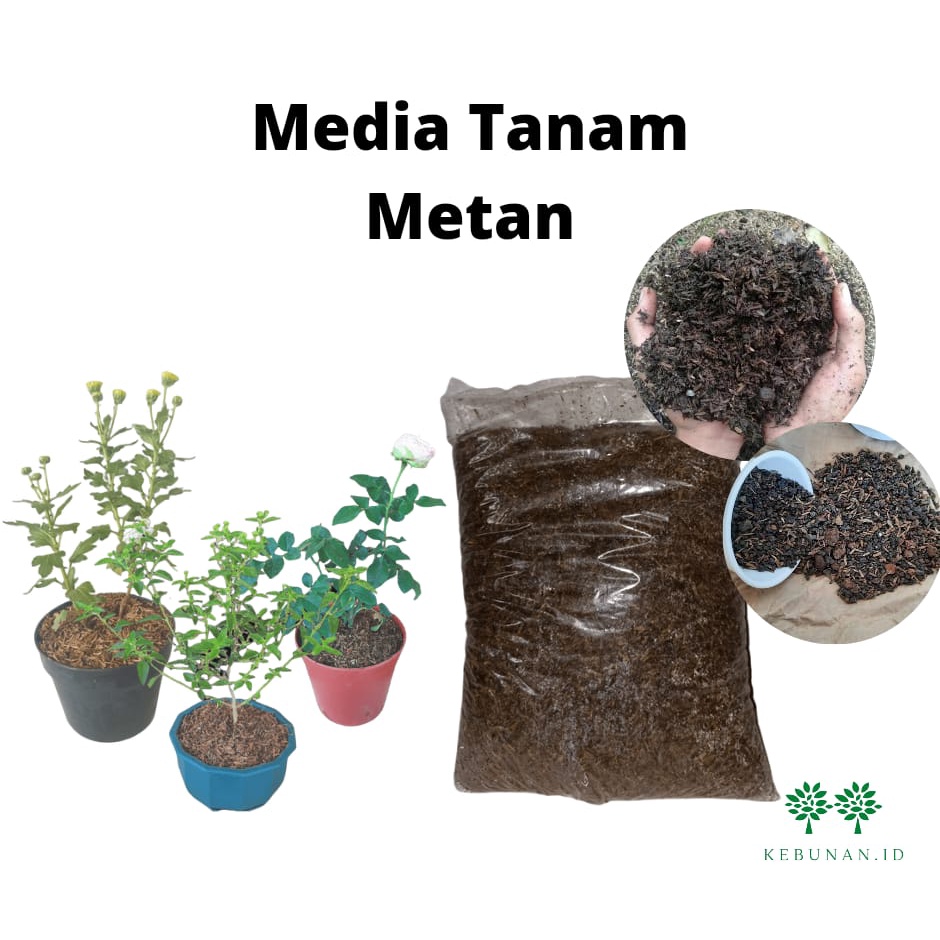 Jual Media Tanam Metan Organik Siap Pakai Sekam Humus Tanah Subur Dan Pupuk Kandang