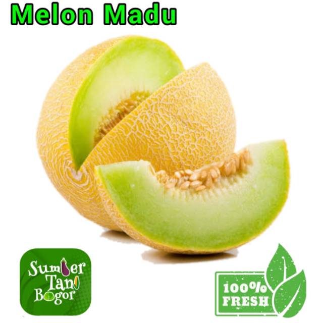 Jual MELON MADU 1.8 KG 2 KG Shopee Indonesia