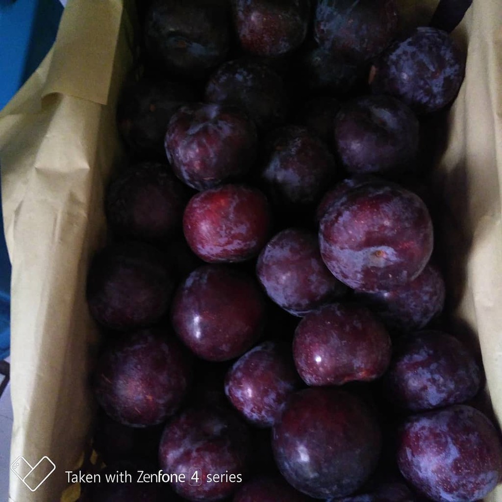 Jual Plum Hitam 500 gram | Shopee Indonesia