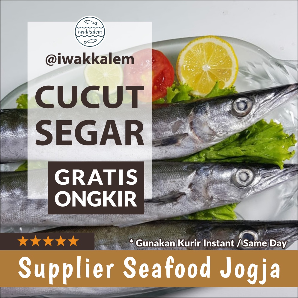 Jual IKAN BARAKUDA / TUNUL SEGAR YOGYAKARTA | Shopee Indonesia