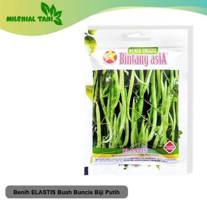 Jual Benih Elastis Buncis Biji Putih Benih Buncis Mini Pack Biji Shopee Indonesia