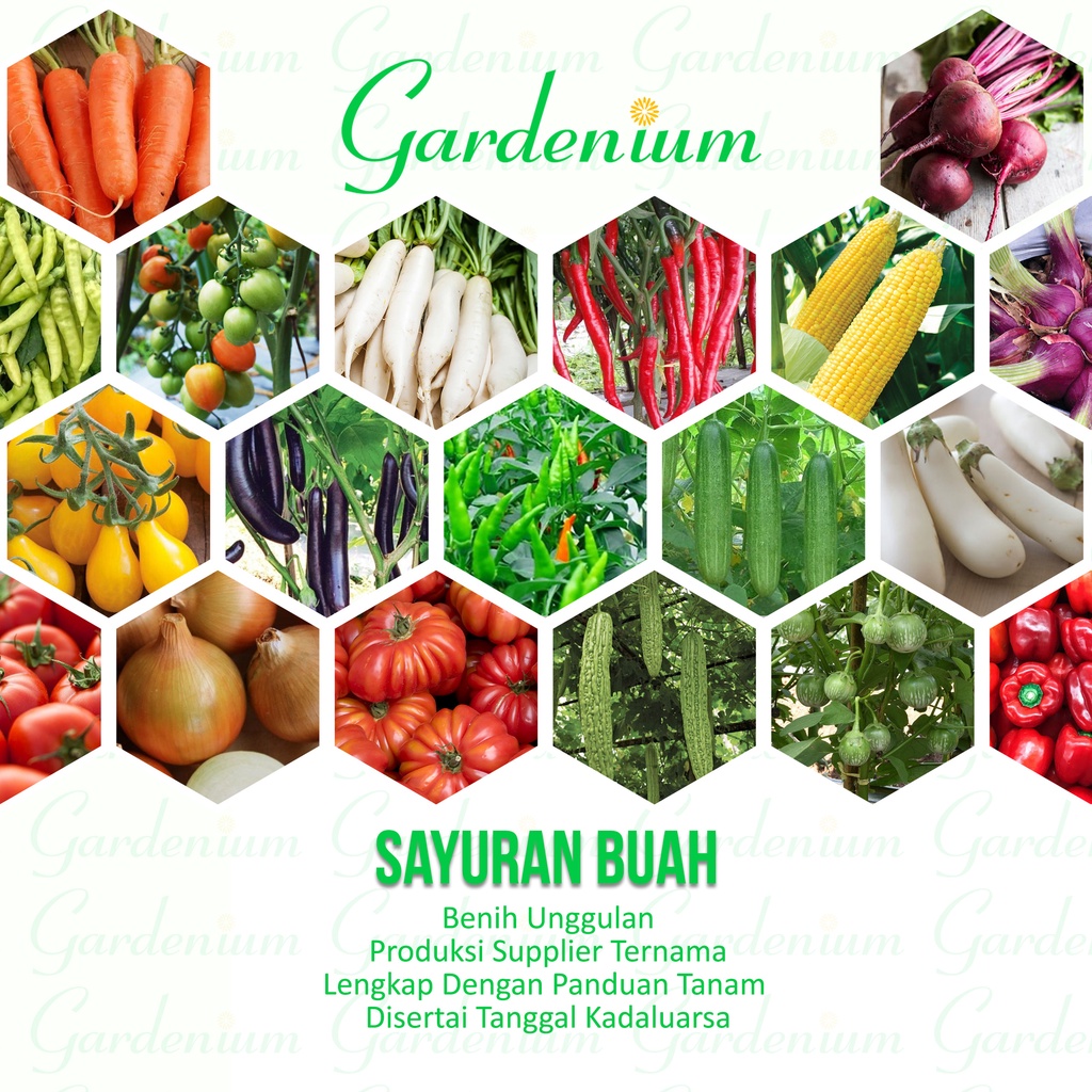 Macam Macam Benih Sayuran Buah Paktani , Bawang Buah Bit Buncis Cabai Jagung Kacang Panjang Lobak Mentimun Timun Okra Pare Tomat Wortel dll